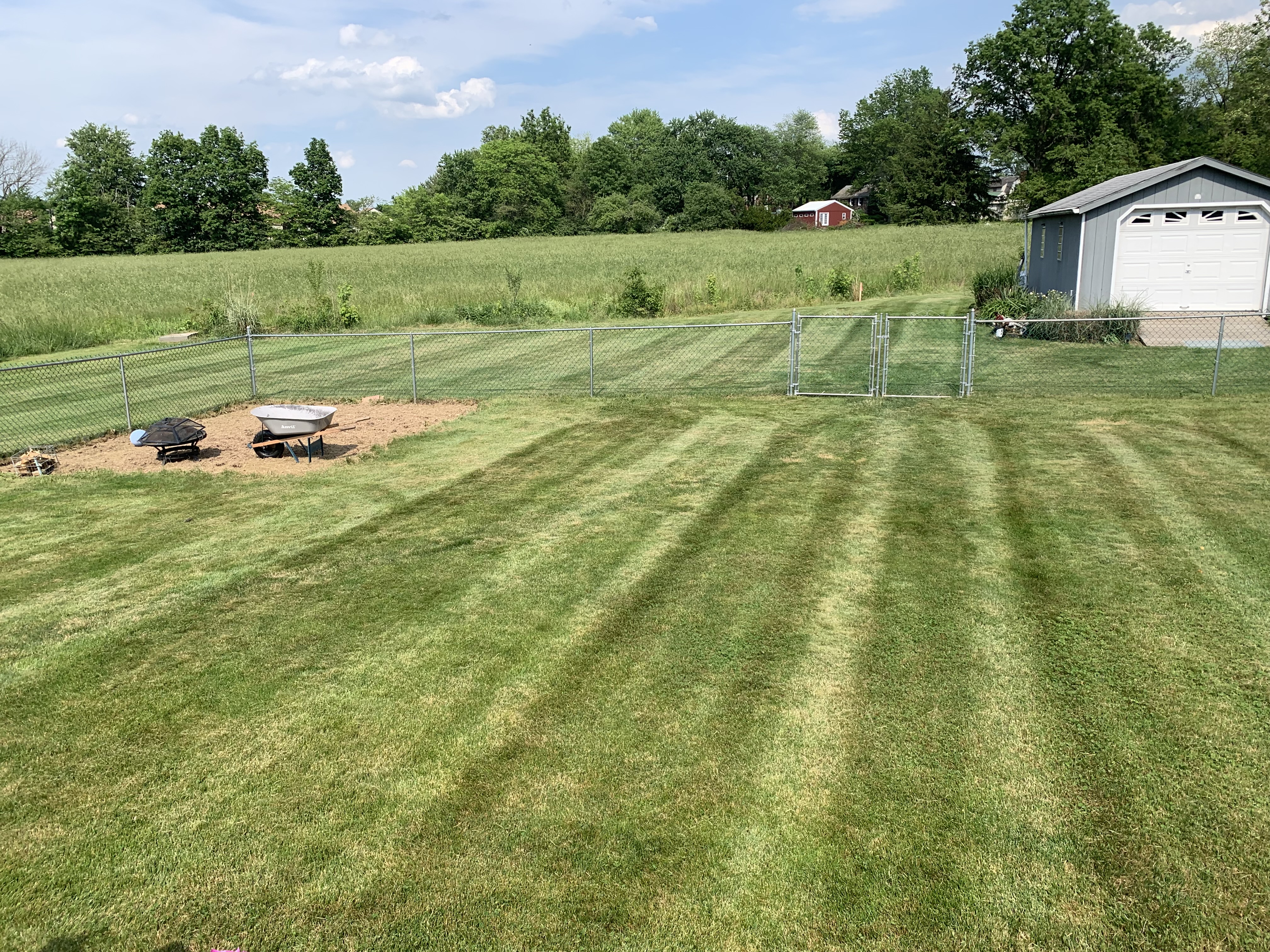 Backyard mowing with outbuilding in background