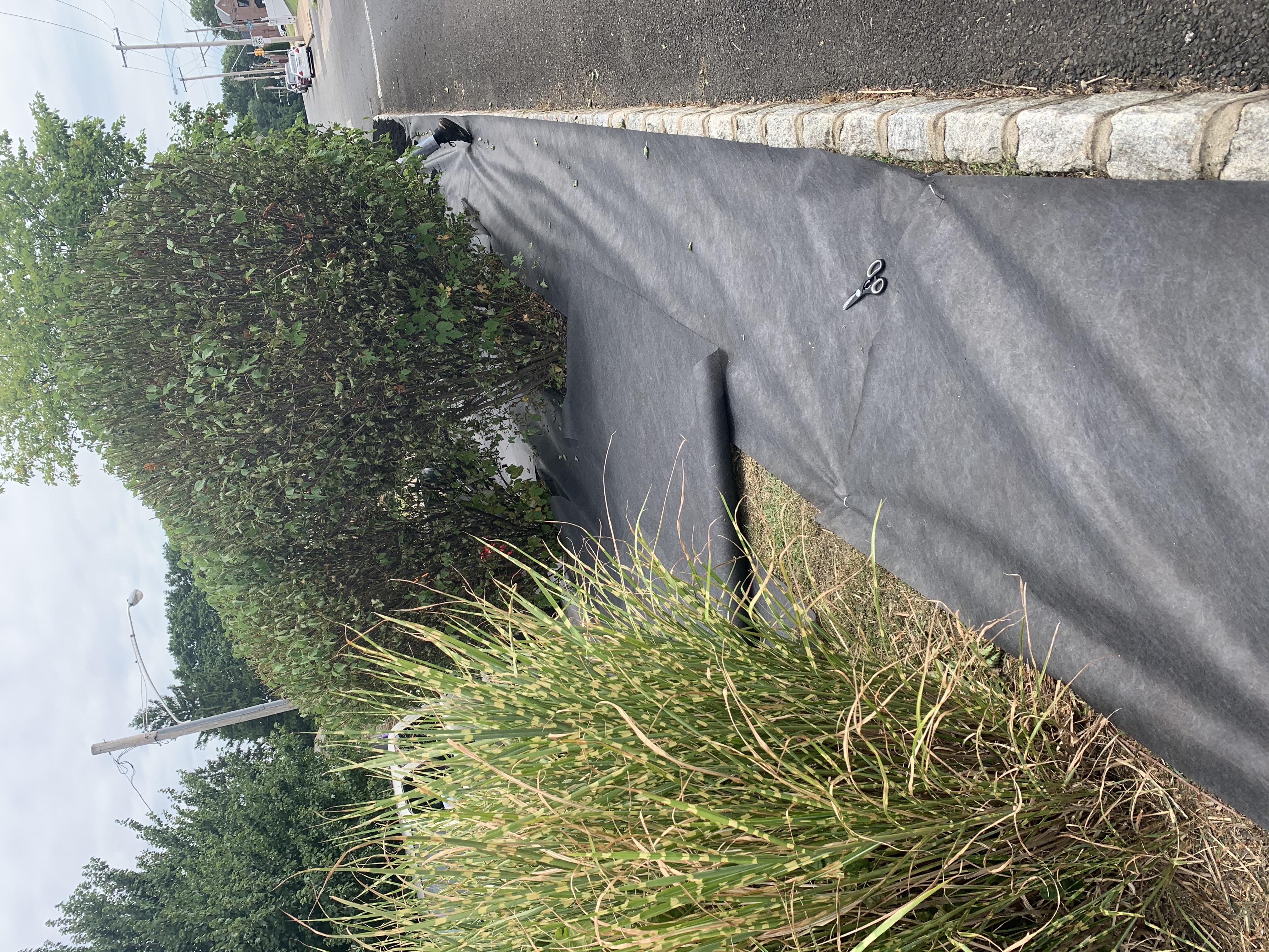 Landscape fabric and stone curb before mulch